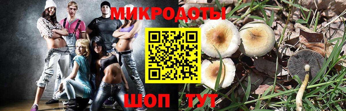 Галлюциногенные грибы Cubensis  Вход с VPN  Ярославль 